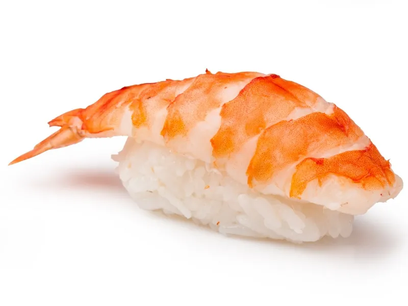 Shrimp nigiri sushi with vinegared rice at Nova Sushi & Teriyaki, a Japanese Restaurant in Jackson Heights